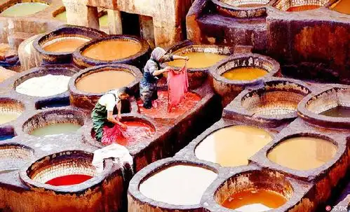跟着上游看世界 | 探秘摩洛哥传统皮革作坊 数百口大染缸"臭名远扬"