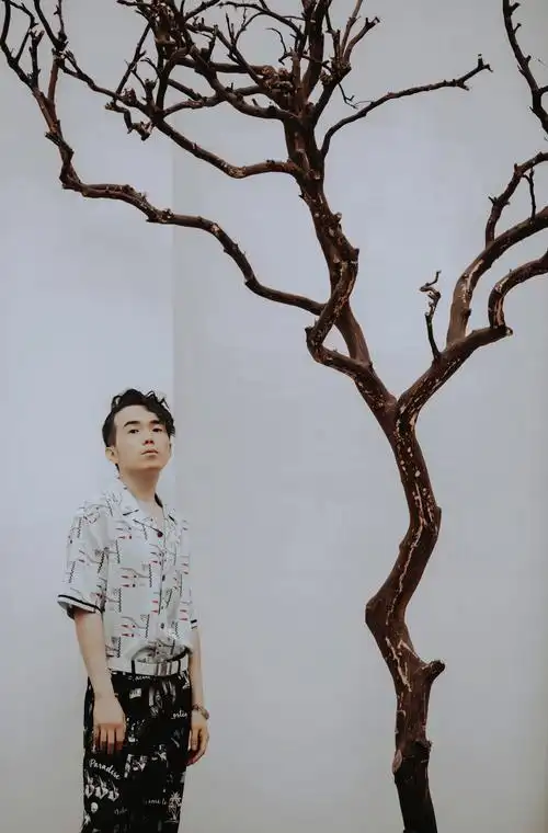 p data-id="gn2l82dh54">艺鑫鑫,中国内地新生代男歌手.