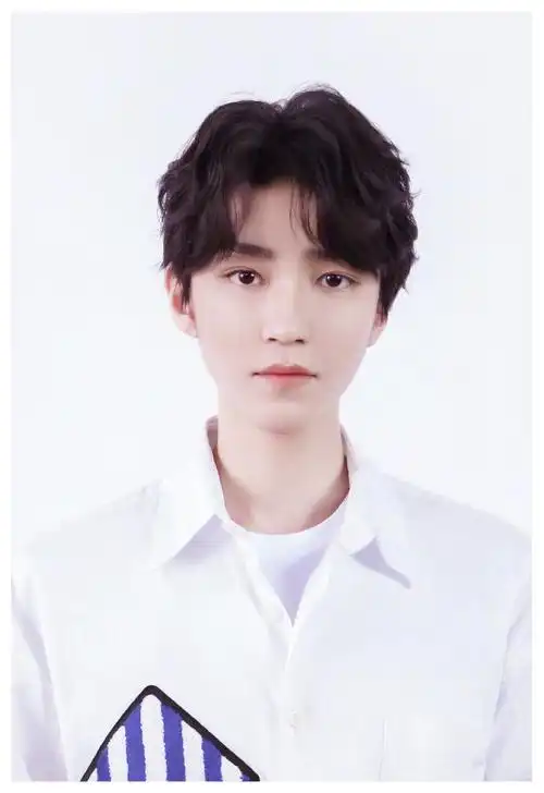 tfboys分享210613王俊凯粉丝制作证件照合集五官优越一脸正气