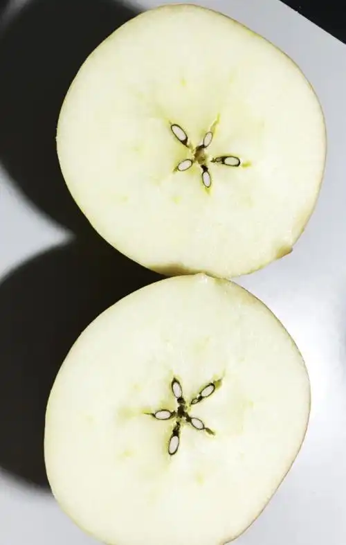 苹果剖面简笔画苹果的横切和竖切的简笔画水果填色图苹果水果简笔画巧