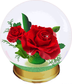 闪亮的玫瑰花欣赏——美到心醉!(动图)