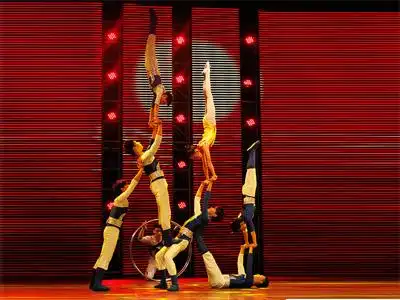 项目中心_吴桥杂技培训,吴桥杂技学校官方网站