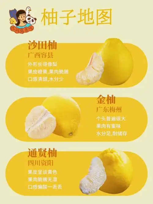 热门好吃柚子品种推荐6015
