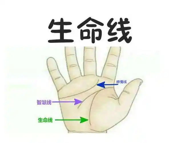 生命线断开错位,从相学来说,这是假性断开,这样的手相会对身体产生