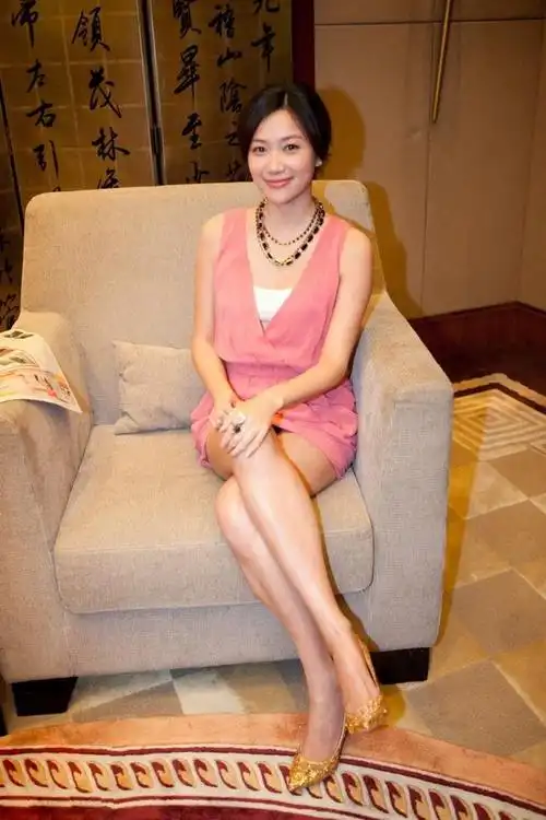 徐静蕾电视剧作品(徐静蕾电视剧大全)-星座梦城