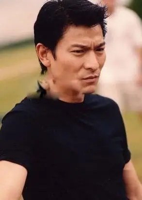 中国最帅的男明星有哪些 梁朝伟王力宏上榜