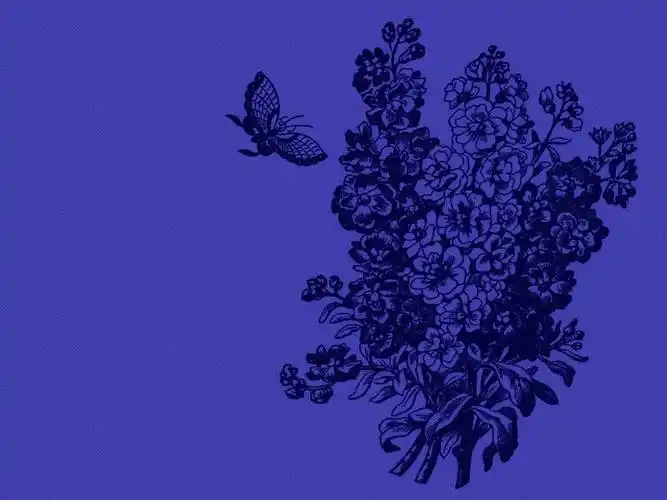 【背景*素材】一组精品ps音画背景素材