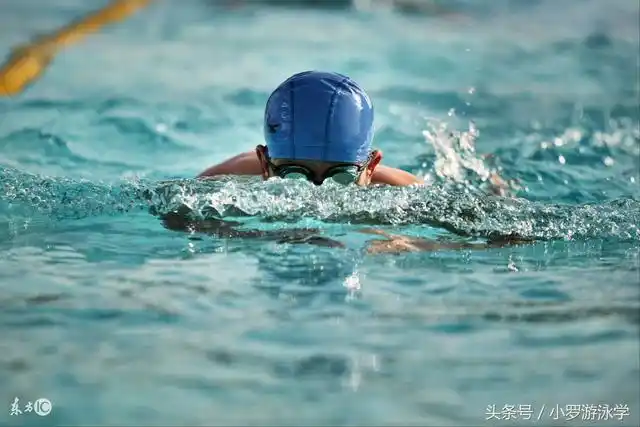 关于孩子学会了游泳的说说孩子终于学会了游泳我的说说