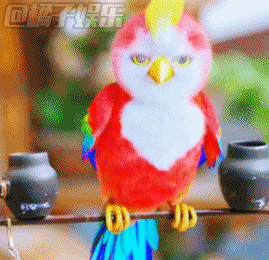 【表情包】《楚乔传》里的鹦鹉成了网红?会动的表情包太好用了吧