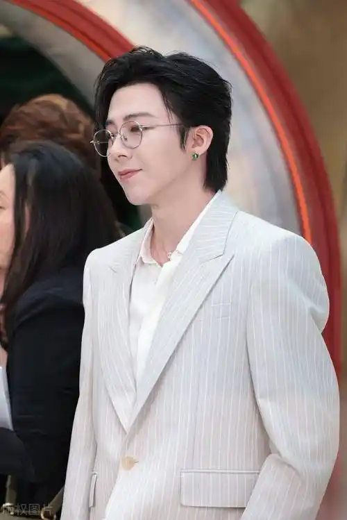 刘宇宁:颜值与魅力的巅峰