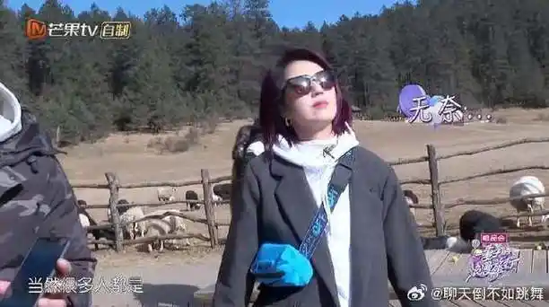 老公会拍照很重要,丁子高给杨千嬅拍的张张都是大片|丁子高|杨千嬅