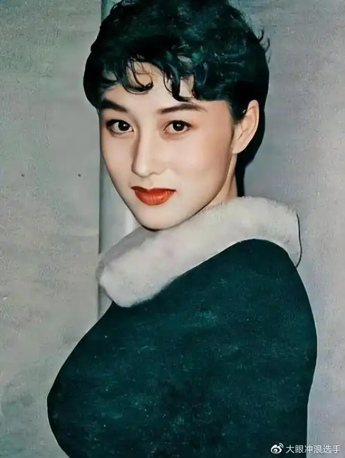 利智:被李连杰宠爱34年,外人看来是掉进蜜罐,甜蜜背后皆是眼泪|智利