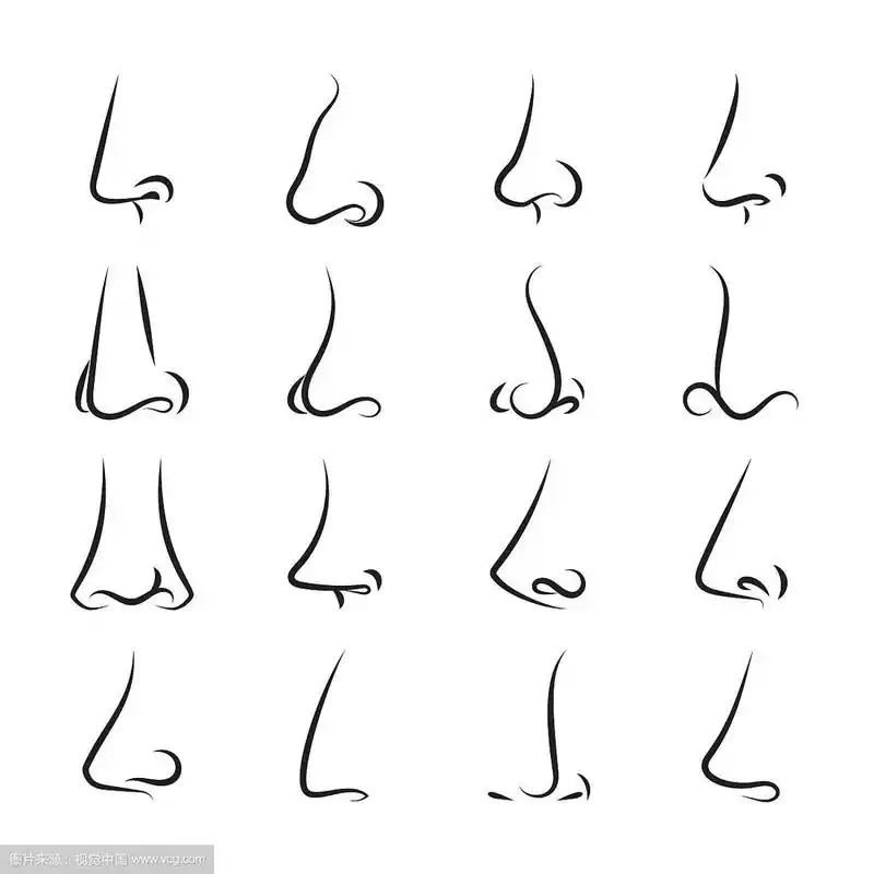 鼻子图标在白色的背景