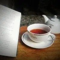 一杯茶一本书微信头像_微信头像图片大全