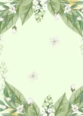 淡雅风格彩色花朵花卉背景边框