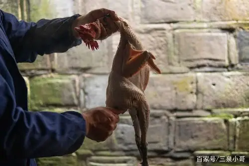 正在失落的美食手法