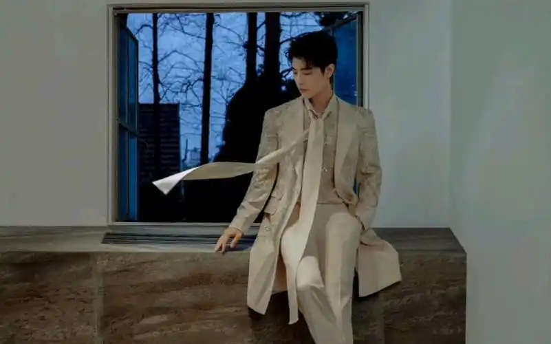 肖战,,贵气小王子