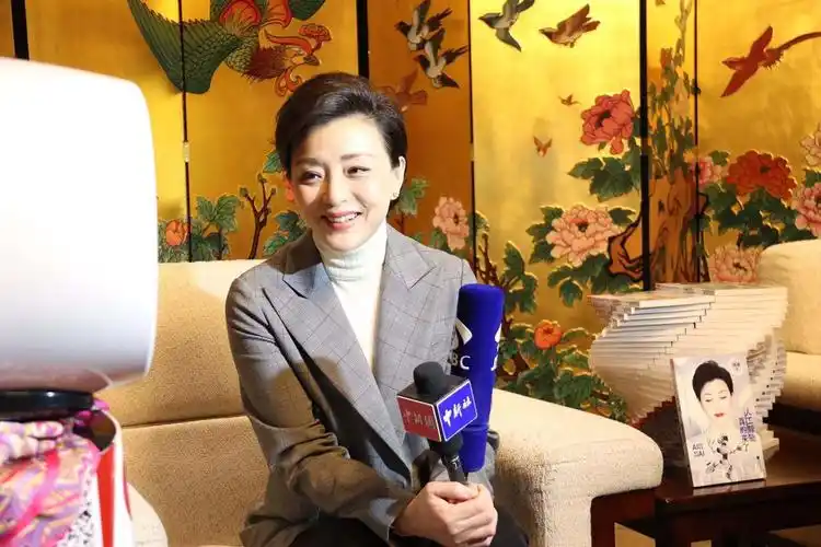 杨澜访谈追寻人工智能的人