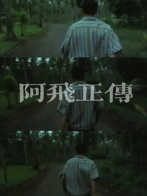 "电影的发明使我们的生命延长了三倍"90电影:《阿飞正传》95豆瓣