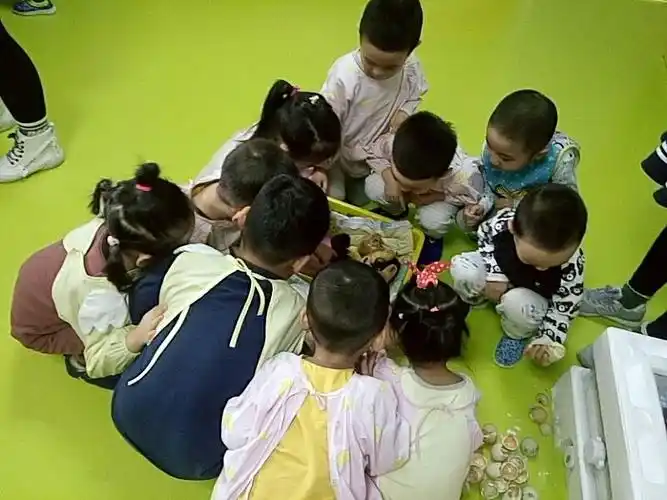 兰妮嘉童幼儿园孵化小鸡活动