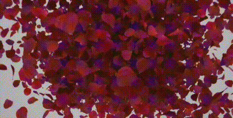 480_243gif 动态图 动图