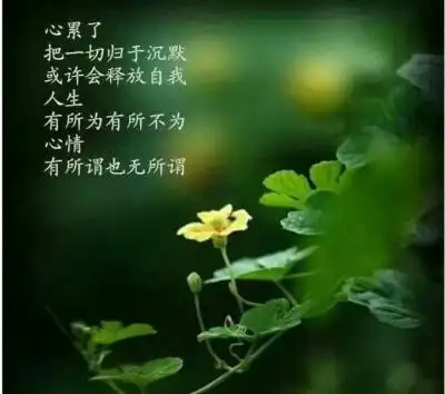 手机壁纸绿色带字