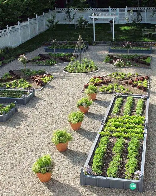 收藏!157张小菜园实景照片案例,面积虽小,花果蔬菜一样不少