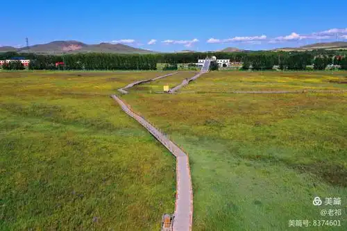 老同学见深情 张家口坝上行