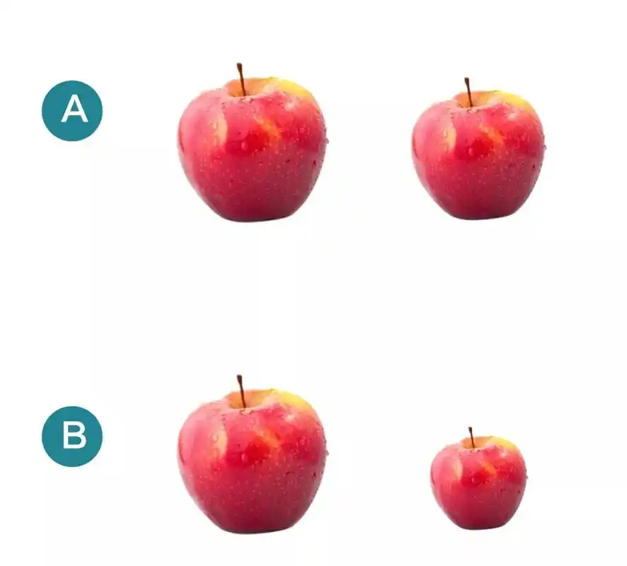 板式设计精华对比原则