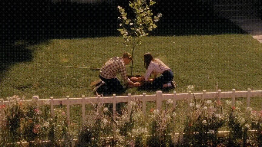 1影史纯爱经典,那些年,那个人,曾让我们《怦然心动》_腾讯新闻