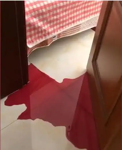 好像凶案现场,随后女子跟着"血"流的方向走,她慢慢推开门,发现真相后