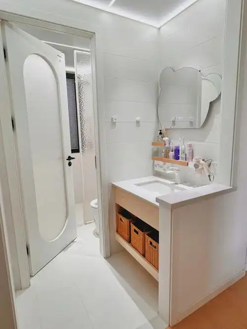 4平方也要三区干湿分离的卫生间附图纸