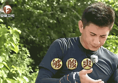 吴奇隆gif够酸爽gif搞笑gif逗比gif