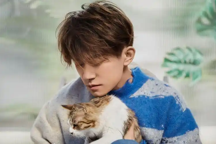 易烊千玺新春写真更新 身穿蓝白毛衣……__财经头条