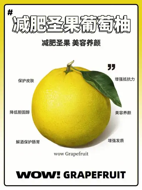 减肥圣果葡萄柚绝绝子