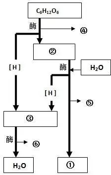 如图是有氧呼吸过程的图解.请据图回答下列问题.