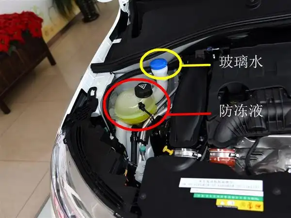 防冻液加水为什么不行?_搜狐汽车_搜狐网
