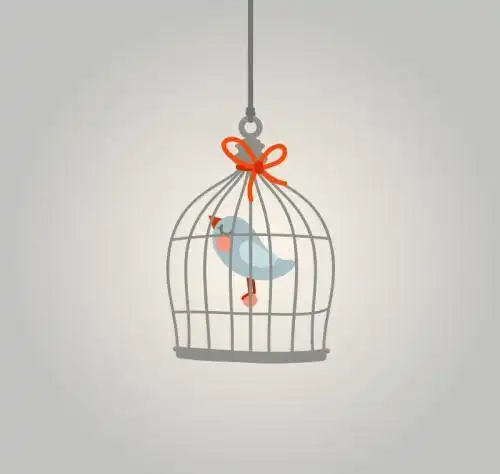 简笔画关在笼子的鸟