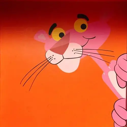 袜子任意2双包邮粉红顽皮豹头像ins运动纯棉短袜