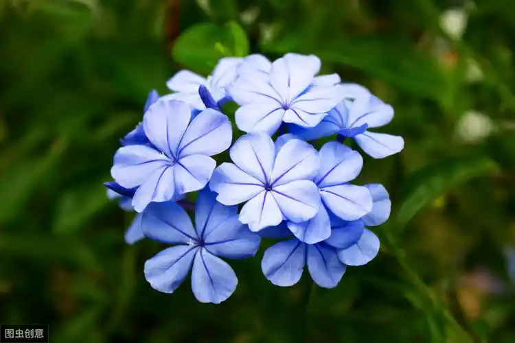 为什么自然界蓝色这么少?