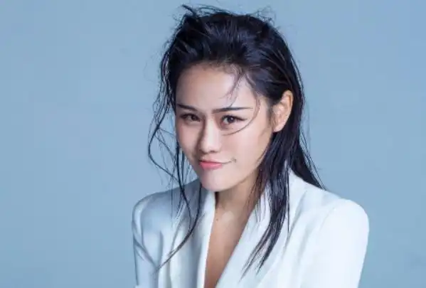 袁娅维是中国好声音出来的吗?