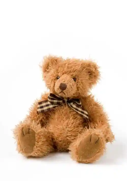 棕色的毛绒泰迪熊