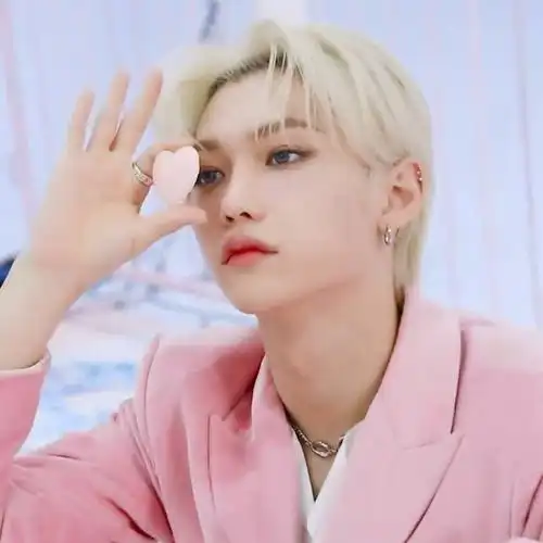 stray kids|李龙馥可二改 二改描述注明lynne