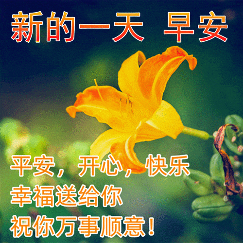 原创2022最新版问候大家早上好的漂亮鲜花图片春日最美早晨好问候语