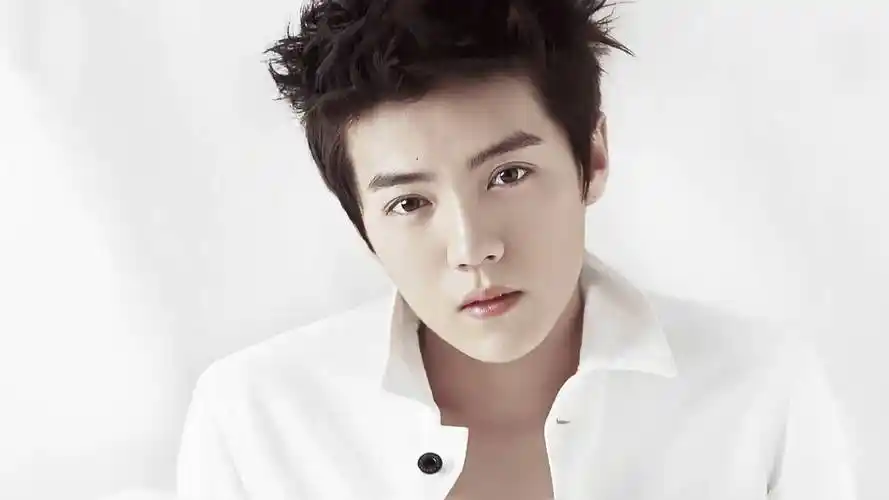 鹿晗生日季祝福刷爆为何粉丝能把爱豆生日当成狂欢节