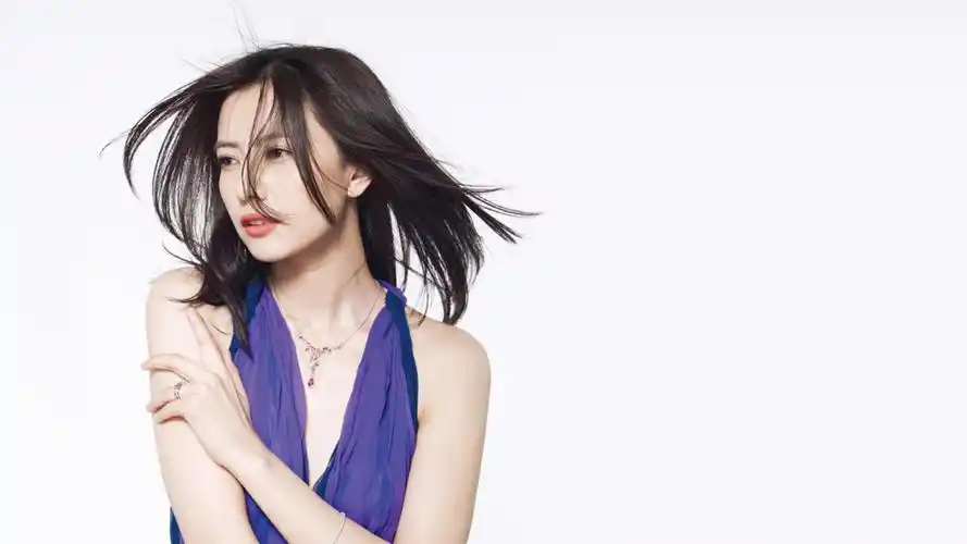 气质形象大使高圆圆