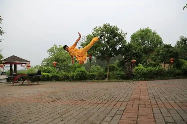 少林洪门四大武师功夫雄风