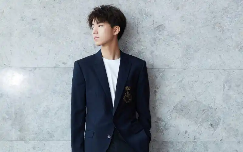 王俊凯帅气图片高清电脑桌面壁纸,大陆明星,帅哥,tfboys,王俊凯,小