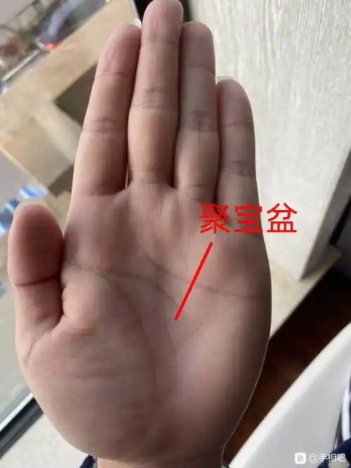 三种注定发达的手相特点,断掌,聚宝盆,一个都不能少!_手机搜狐网