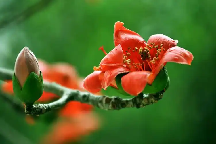 一个人过得好不好,看ta的脸就知道了